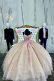 Sparkly Blush Appliques Tulle Corset Sweetheart Quinceanera Dress