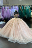 Blush Tulle Off the Shoulder Corset Appliques Quinceanera Dress