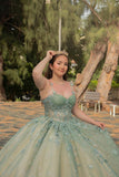 Dusty Sage Sparkly Appliques Corset Spaghetti Straps Quinceanera Dress