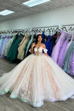 Beige Appliques Corset Tulle Off The Shoulder Quinceanera Dress