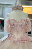 3D Floral Sparkly Pink Corset Off the Shoulder Tulle Quinceanera Dress