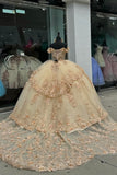 Champagne Sparkly Appliques Off the Shoulder Corset Ruffle Tulle Quinceanera Dress