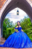 Royal Blue Off the Shoulder Corset Appliques Quinceanera Dress with Bow