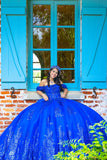 Royal Blue Off the Shoulder Corset Appliques Quinceanera Dress with Bow
