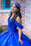 Royal Blue Off the Shoulder Corset Appliques Quinceanera Dress with Bow