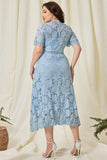 Sky Blue A Line Simple Lace Mother Of Bride Dress
