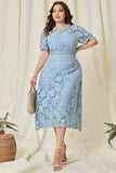 Sky Blue A Line Simple Lace Mother Of Bride Dress