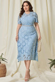 Sky Blue A Line Simple Lace Mother Of Bride Dress