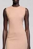 Simple Champagne Sheath Round Neck Wedding Guest Dress