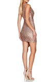 Sparkly Burgundy One Shoulder Homecoming Dress with Sequins
